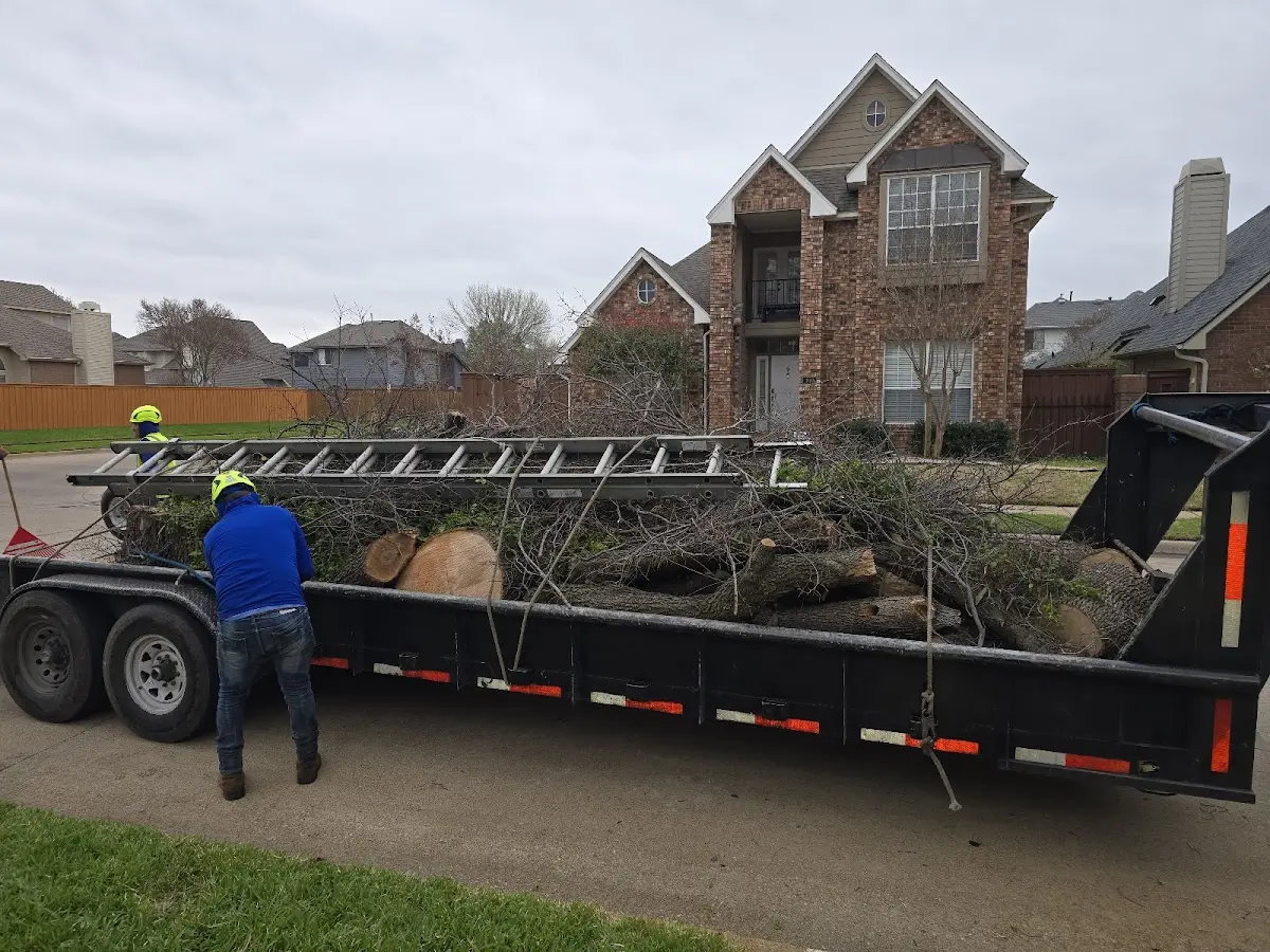 Expert Tree Fertilization with proper safety equipment in Columbia Falls